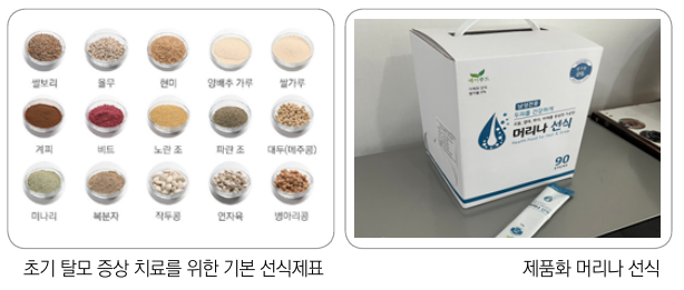 초기 탈모 증상 치료를 위한 기본 선식제표 제품화 머리나 선식